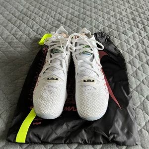 Nike Lebron AirMax Multicolor